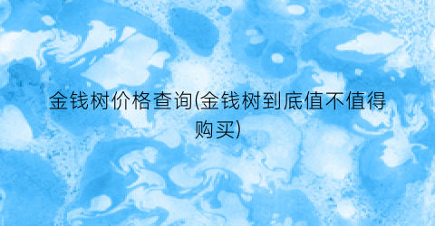 金钱树价格查询(金钱树到底值不值得购买)
