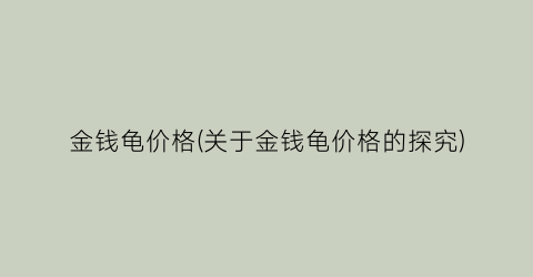 金钱龟价格(关于金钱龟价格的探究)