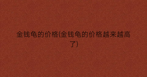 金钱龟的价格(金钱龟的价格越来越高了)