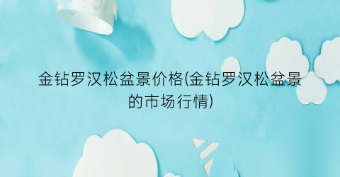 金钻罗汉松盆景价格(金钻罗汉松盆景的市场行情)