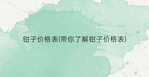 钳子价格表(带你了解钳子价格表)