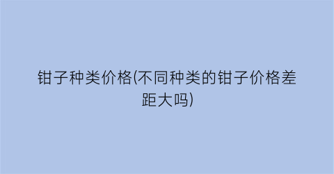 钳子种类价格(不同种类的钳子价格差距大吗)