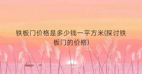 铁板门价格是多少钱一平方米(探讨铁板门的价格)