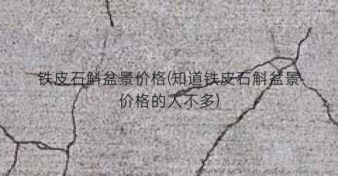 铁皮石斛盆景价格(知道铁皮石斛盆景价格的人不多)
