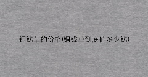 “铜钱草的价格(铜钱草到底值多少钱)
