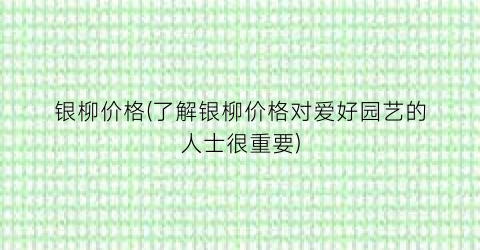 银柳价格(了解银柳价格对爱好园艺的人士很重要)