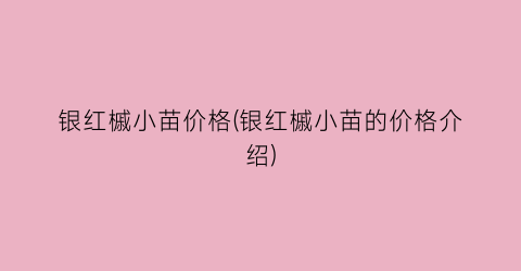 银红槭小苗价格(银红槭小苗的价格介绍)