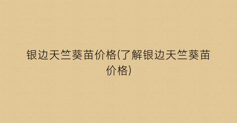 银边天竺葵苗价格(了解银边天竺葵苗价格)