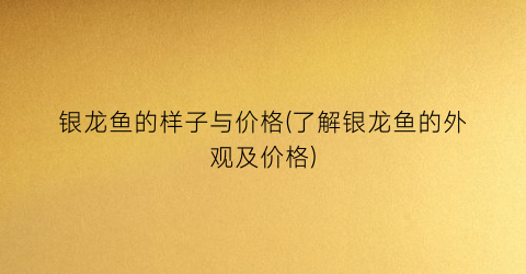 银龙鱼的样子与价格(了解银龙鱼的外观及价格)