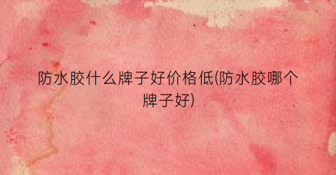 防水胶什么牌子好价格低(防水胶哪个牌子好)