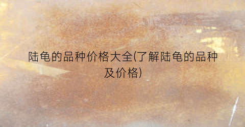 “陆龟的品种价格大全(了解陆龟的品种及价格)