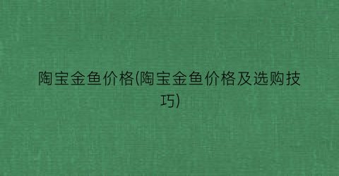 陶宝金鱼价格(陶宝金鱼价格及选购技巧)