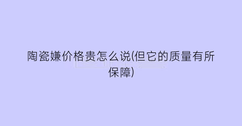 陶瓷嫌价格贵怎么说(但它的质量有所保障)