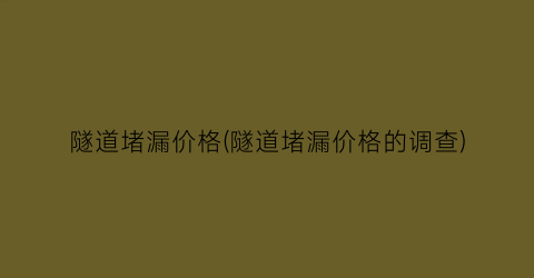 隧道堵漏价格(隧道堵漏价格的调查)