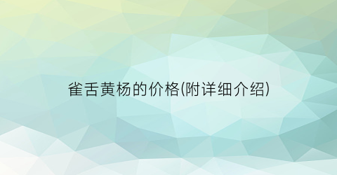 雀舌黄杨的价格(附详细介绍)