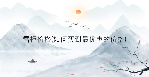 雪柜价格(如何买到最优惠的价格)