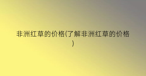 非洲红草的价格(了解非洲红草的价格)