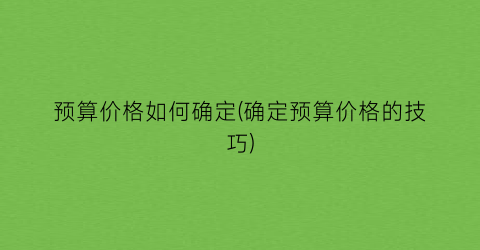 “预算价格如何确定(确定预算价格的技巧)