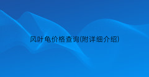 风叶龟价格查询(附详细介绍)