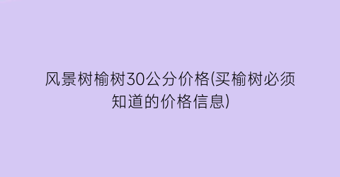 风景树榆树30公分价格(买榆树必须知道的价格信息)