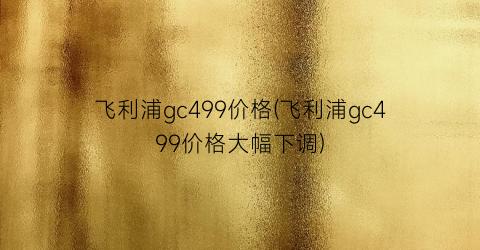 飞利浦gc499价格(飞利浦gc499价格大幅下调)