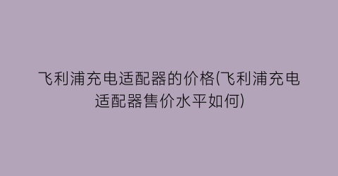 飞利浦充电适配器的价格(飞利浦充电适配器售价水平如何)