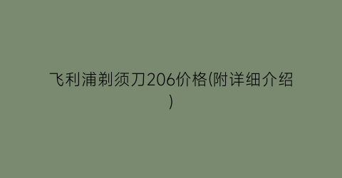 “飞利浦剃须刀206价格(附详细介绍)