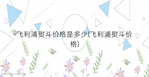 飞利浦熨斗价格是多少(飞利浦熨斗价格)
