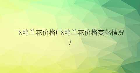 “飞鸭兰花价格(飞鸭兰花价格变化情况)