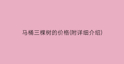 马桶三棵树的价格(附详细介绍)