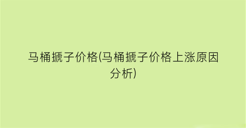 马桶搋子价格(马桶搋子价格上涨原因分析)