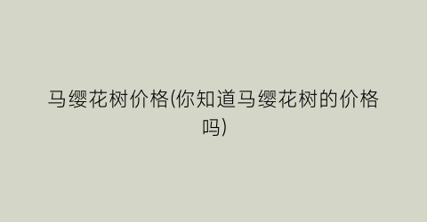马缨花树价格(你知道马缨花树的价格吗)