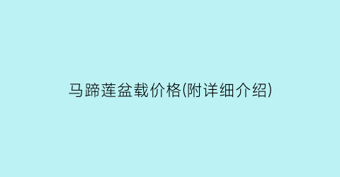 “马蹄莲盆载价格(附详细介绍)