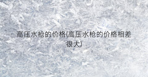 高压水枪的价格(高压水枪的价格相差很大)