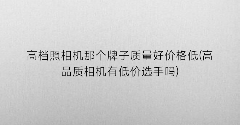 “高档照相机那个牌子质量好价格低(高品质相机有低价选手吗)