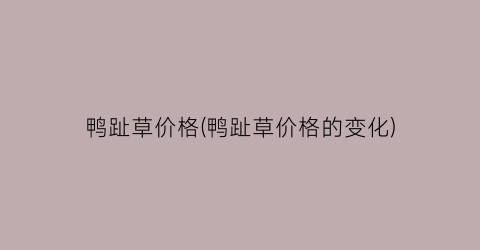 鸭趾草价格(鸭趾草价格的变化)