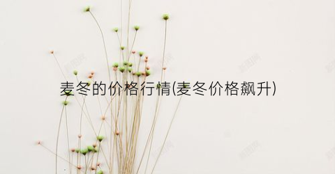 “麦冬的价格行情(麦冬价格飙升)