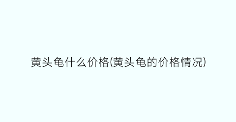 黄头龟什么价格(黄头龟的价格情况)