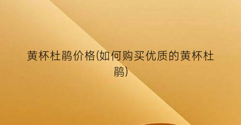 黄杯杜鹃价格(如何购买优质的黄杯杜鹃)