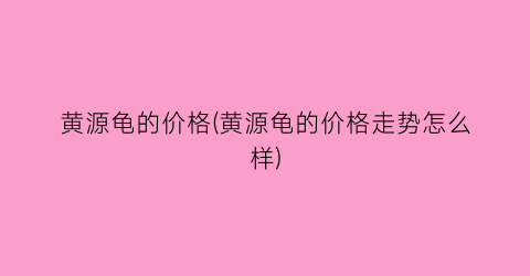 黄源龟的价格(黄源龟的价格走势怎么样)