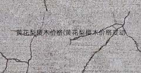 黄花梨樱木价格(黄花梨樱木价格变动)