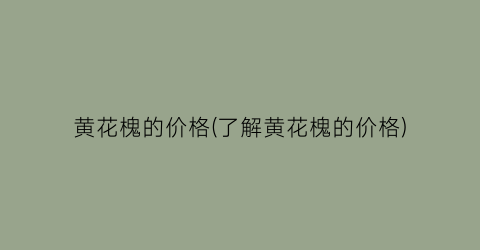 黄花槐的价格(了解黄花槐的价格)