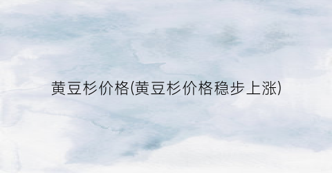 黄豆杉价格(黄豆杉价格稳步上涨)