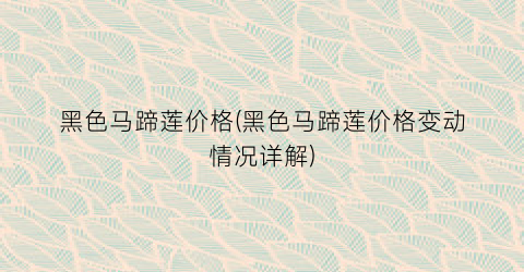 黑色马蹄莲价格(黑色马蹄莲价格变动情况详解)