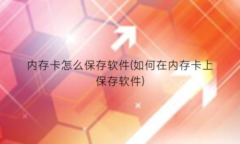 存储可以存软件吗