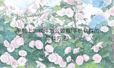 .手机上的软件怎么卸载(手机软件的卸载方法)