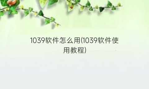 1039软件怎么用(1039软件使用教程)