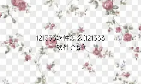121333软件怎么(121333软件介绍)