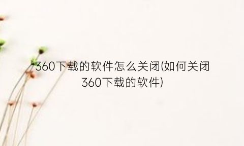 “360下载的软件怎么关闭(如何关闭360下载的软件)