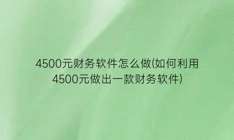 4500元财务软件怎么做(如何利用4500元做出一款财务软件)